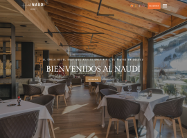 Proyecto - Hotel Naudi