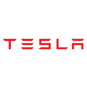 Tesla logo - Zausen